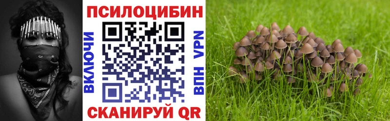 где купить наркоту  Западная Двина  Галлюциногенные грибы мицелий 